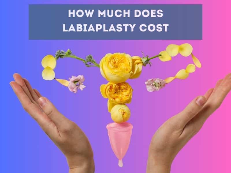 how much does labiaplasty cost